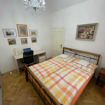 Royal In Historical Downtown Apartment